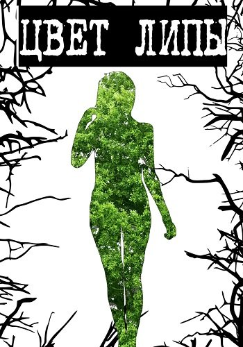 Цвет липы
